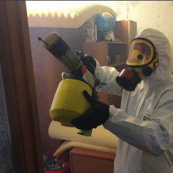 Уничтожение клопов в квартире. Островной